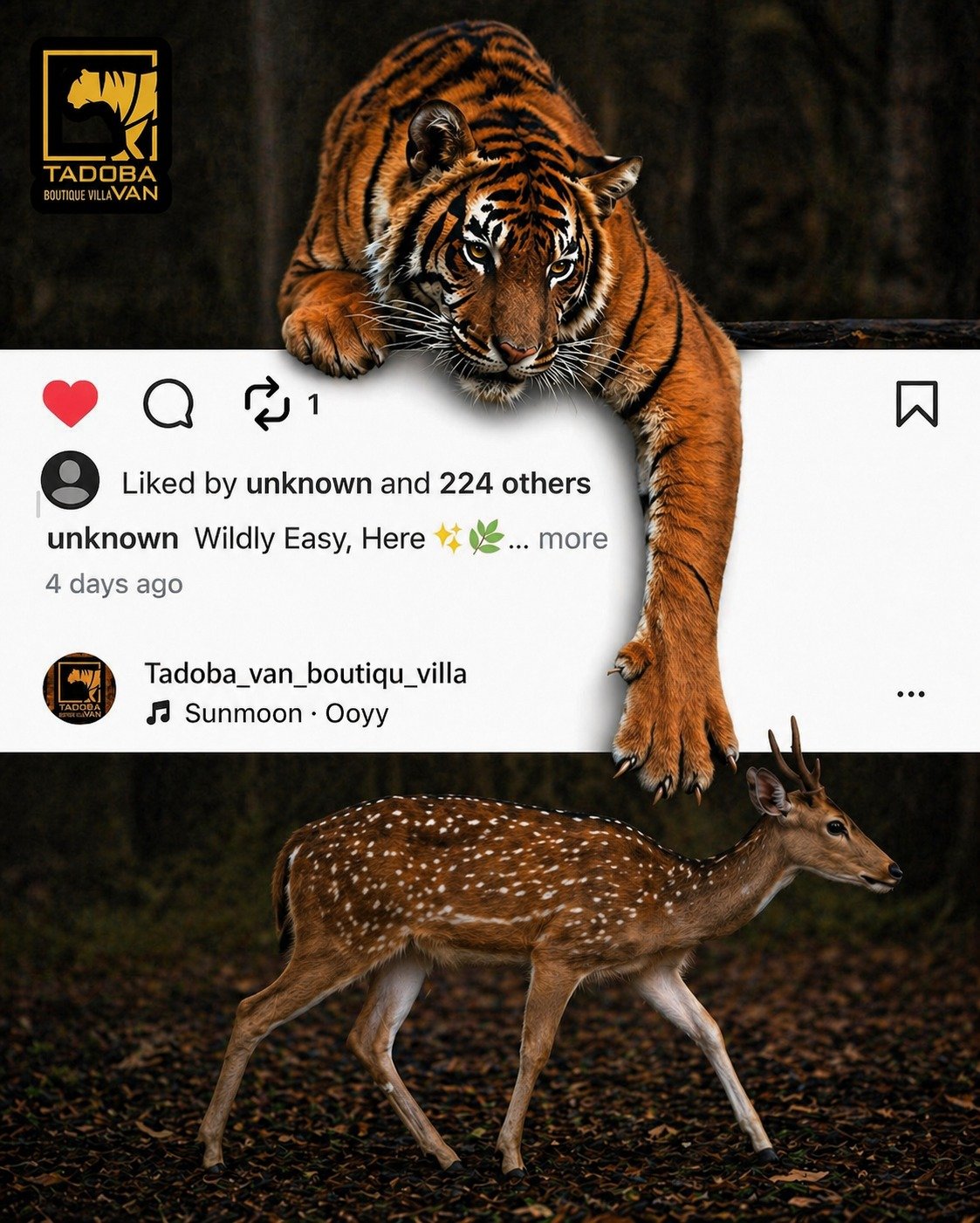 Social Media Creative Design 11